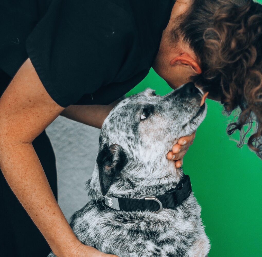 Why Do Dogs Lick You? Exploring the Surprising Reasons Behind Your Pup’s Affectionate Behavior